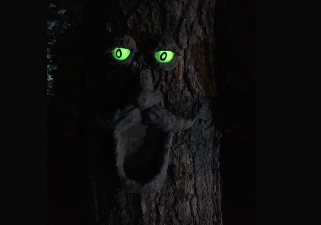 A tree glowing with Glow in the dark paint for wood
