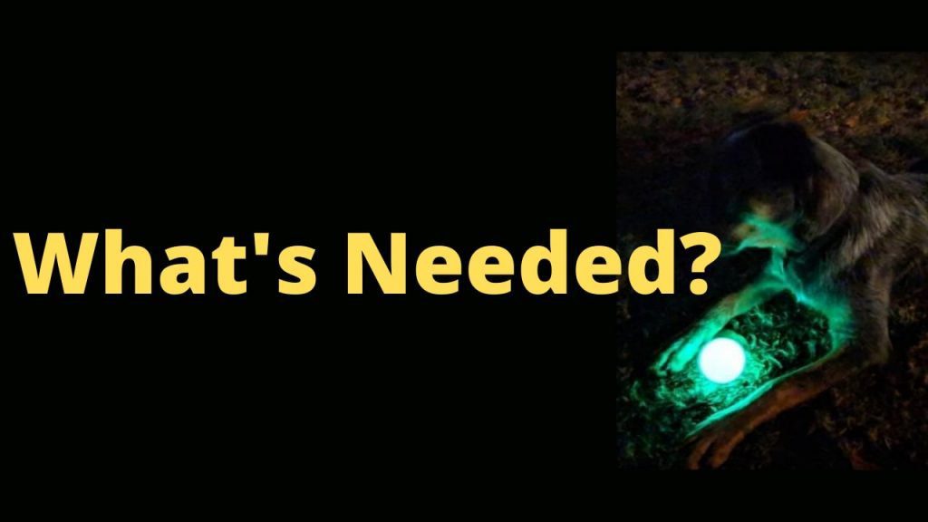 Top 3 Glow Ball For Dogs of this year- Glow in Dark