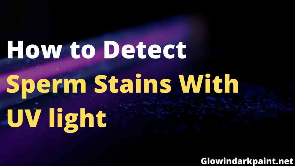 If you wonder How to Detect Sperm Stains With UV light, this is for you. It tells you the process, things you need, and what to do when you find those stains.
